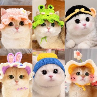 반려동물 뜨개 모자 고양이 강아지 코스튬 웃긴 변신 소품 사계절 꽃 새싹